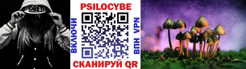 Купить закладки  Костерёво  Галлюциногенные грибы Psilocybine cubensis 